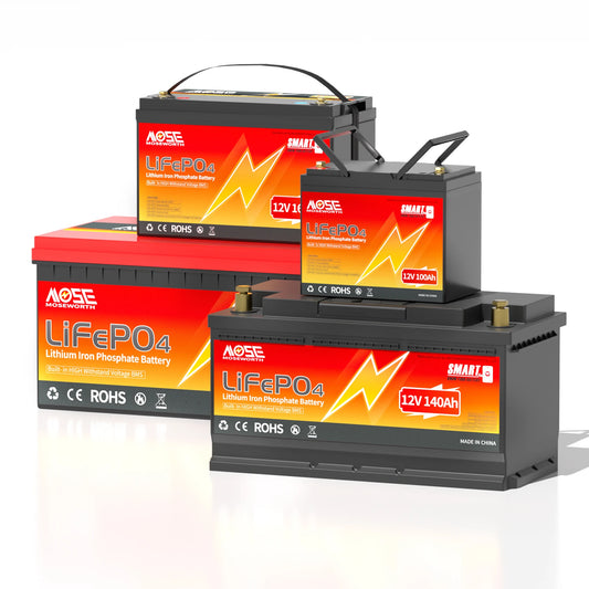 12V 24V 100Ah 140Ah 168Ah 200Ah 300Ah LiFePO4 Deep Cycle Battery Built-in BMS Perfect for RV/Camper Trolling Motor Marine