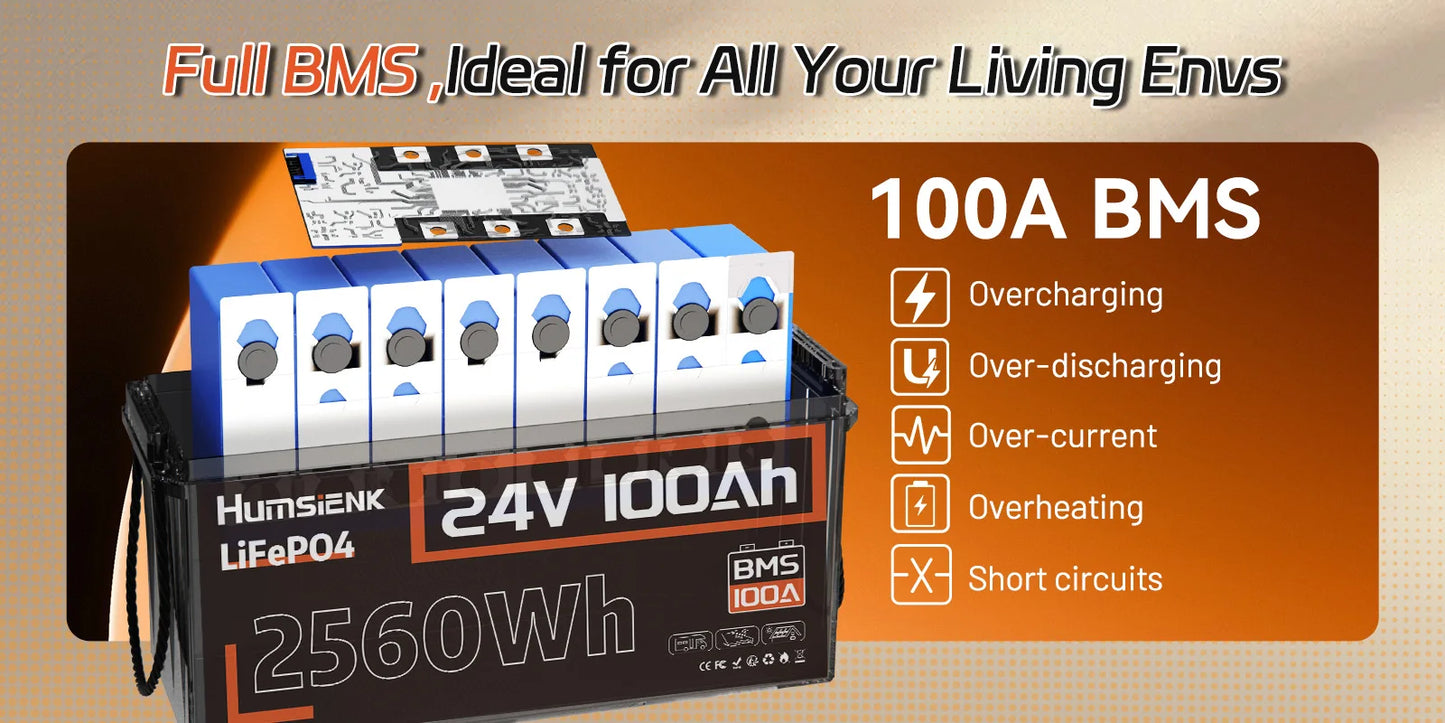 Humsienk LiFePO4 24V 100AH Lithium Iron Phosphate Battery 100A BMS For Electronics RV Campers Solar Golf Carts Marine Vans