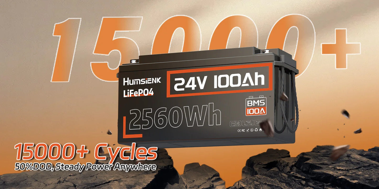 Humsienk LiFePO4 24V 100AH Lithium Iron Phosphate Battery 100A BMS For Electronics RV Campers Solar Golf Carts Marine Vans