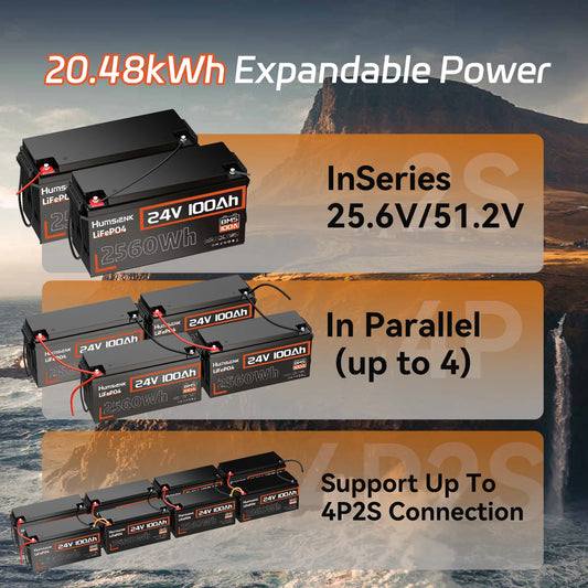 Humsienk LiFePO4 24V 100AH Lithium Iron Phosphate Battery 100A BMS For Electronics RV Campers Solar Golf Carts Marine Vans