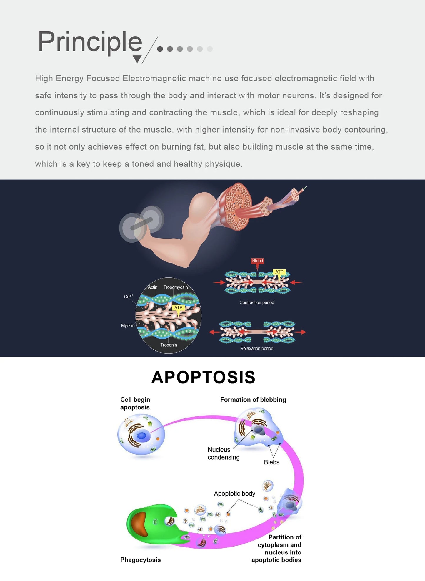 EMS Body Slimming Machine MuscleEMS Electrical Stimulation Muscle Sculpt Fat Burning Control Carving Weight Loss Machine