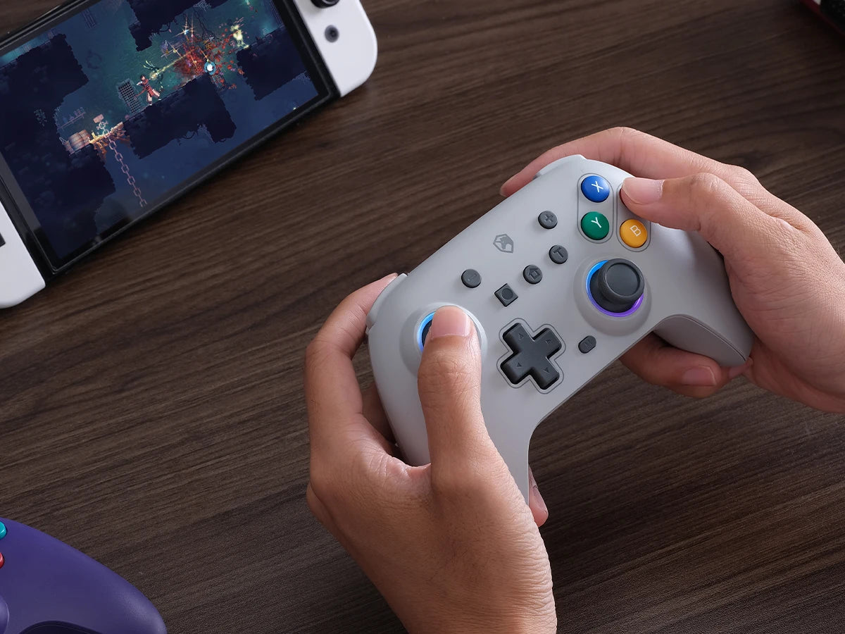 ECHTPower Wireless Controller Gamepad for Switch 2/PC Dark gray
