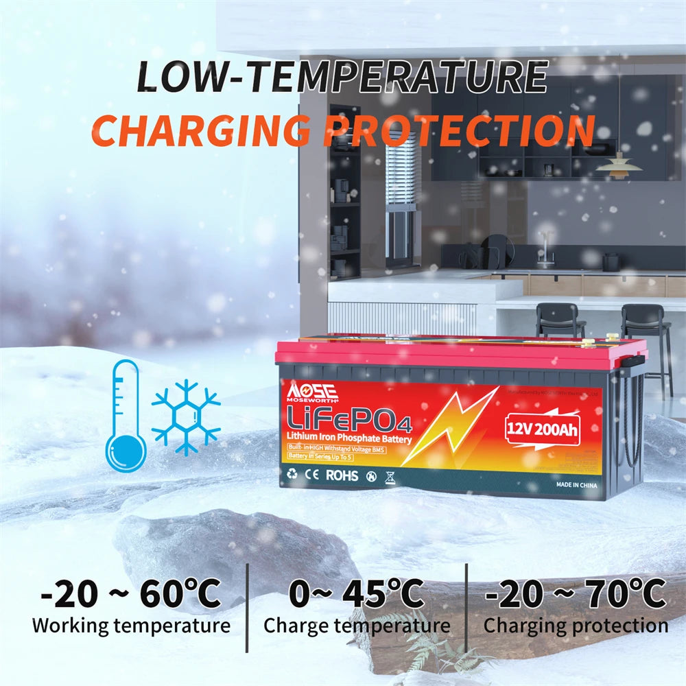 LiFePO4 Lithium Battery 12V 24V 36V 48V 100Ah 200Ah 300Ah 50Ah Built in BMS Deep Cycle Rechargeable Batteries for Trolling Motor