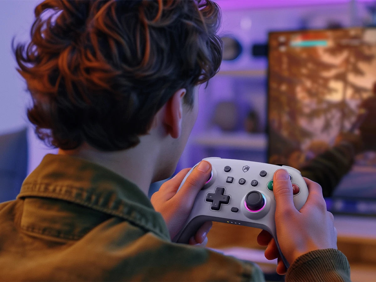 ECHTPower Wireless Controller Gamepad for Switch 2/PC Dark gray