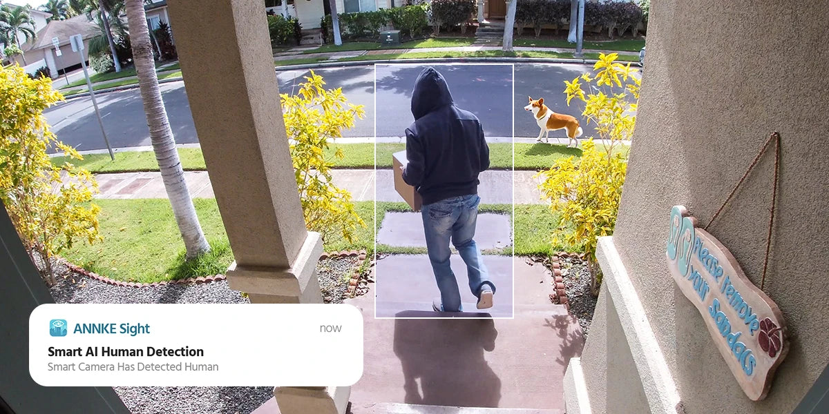 ANNKE 4MP Battery WiFi Security Camera PT Auto Tracking Color Night Vision Wireless IP Camera 4CH Homebase Security System