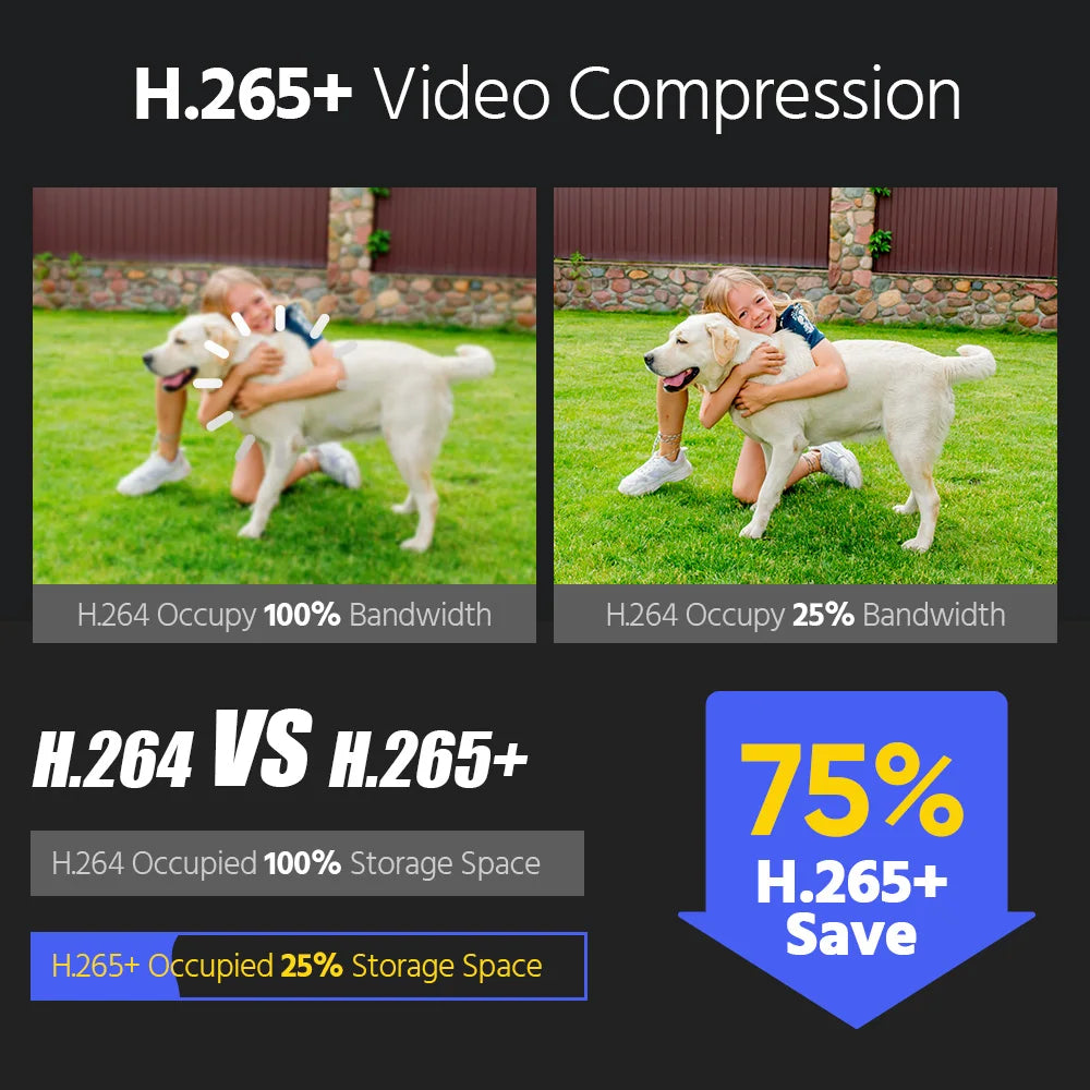 ANNKE 12MP Camera Kits Smart Dual Light Security 8CH NVR 8PCS POE Camera Outdoor CCTV Video Surveillance Protection Camera